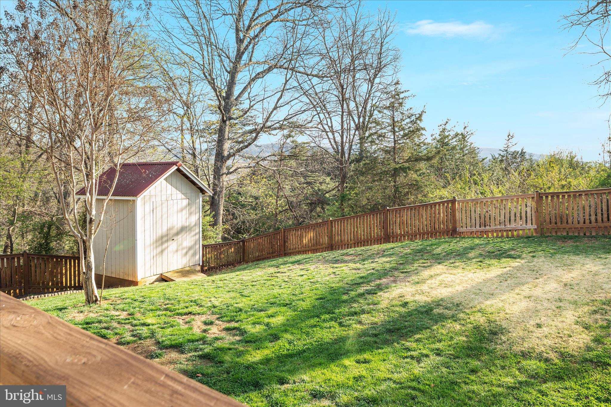1161 Happy Ridge Drive Front Royal, VA 22630 - Photo 44 of 49 a backyard of a house with large trees and wooden fence