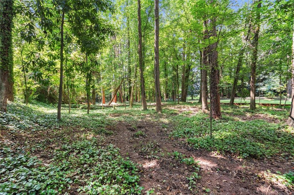 420 Longleaf Drive Roswell, GA 30075 - Photo 4 of 10