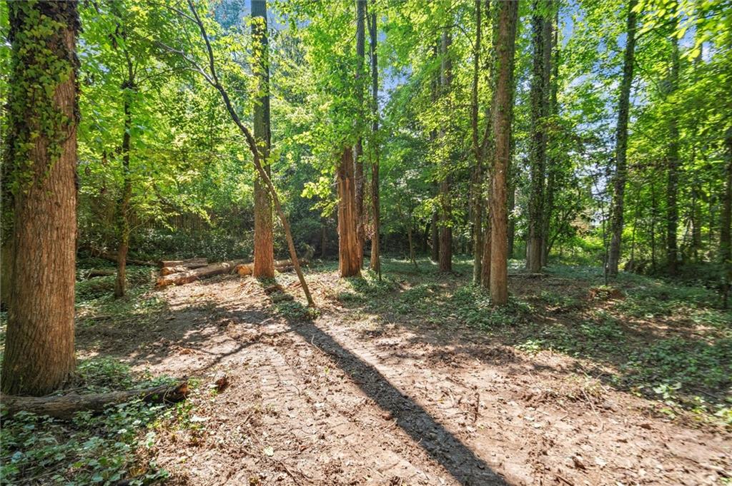 420 Longleaf Drive Roswell, GA 30075 - Photo 6 of 10