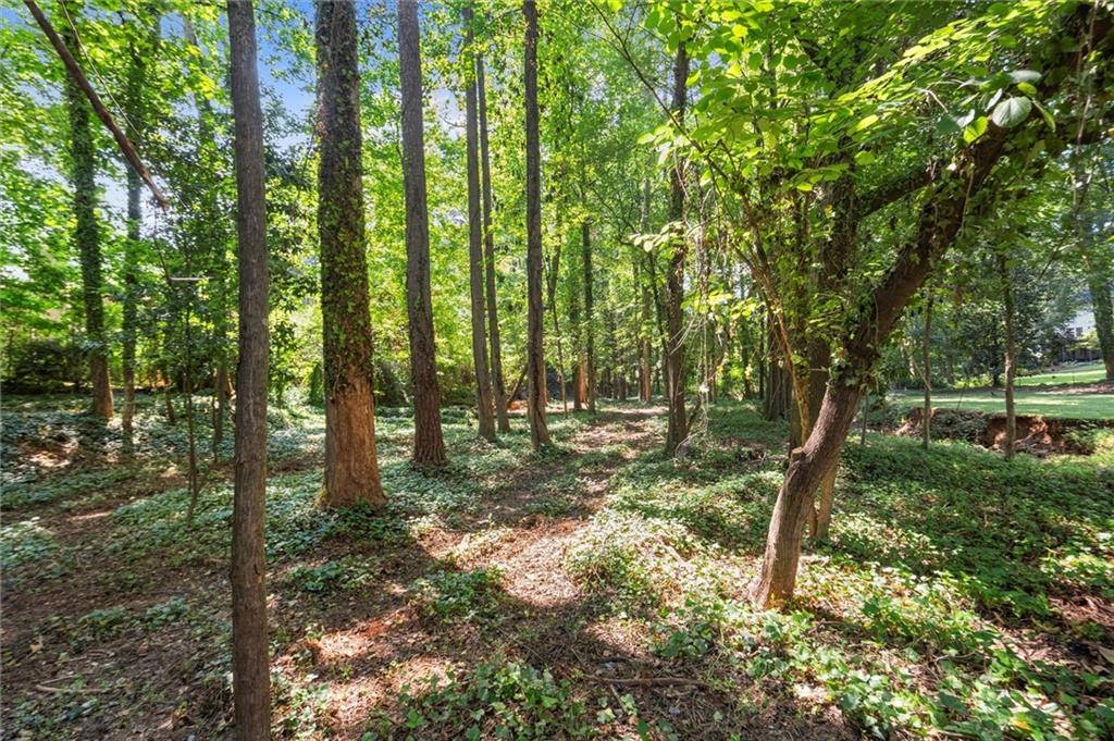 420 Longleaf Drive Roswell, GA 30075 - Photo 7 of 10