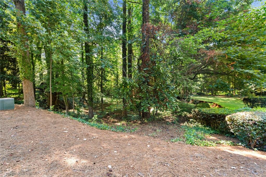 420 Longleaf Drive Roswell, GA 30075 - Photo 8 of 10