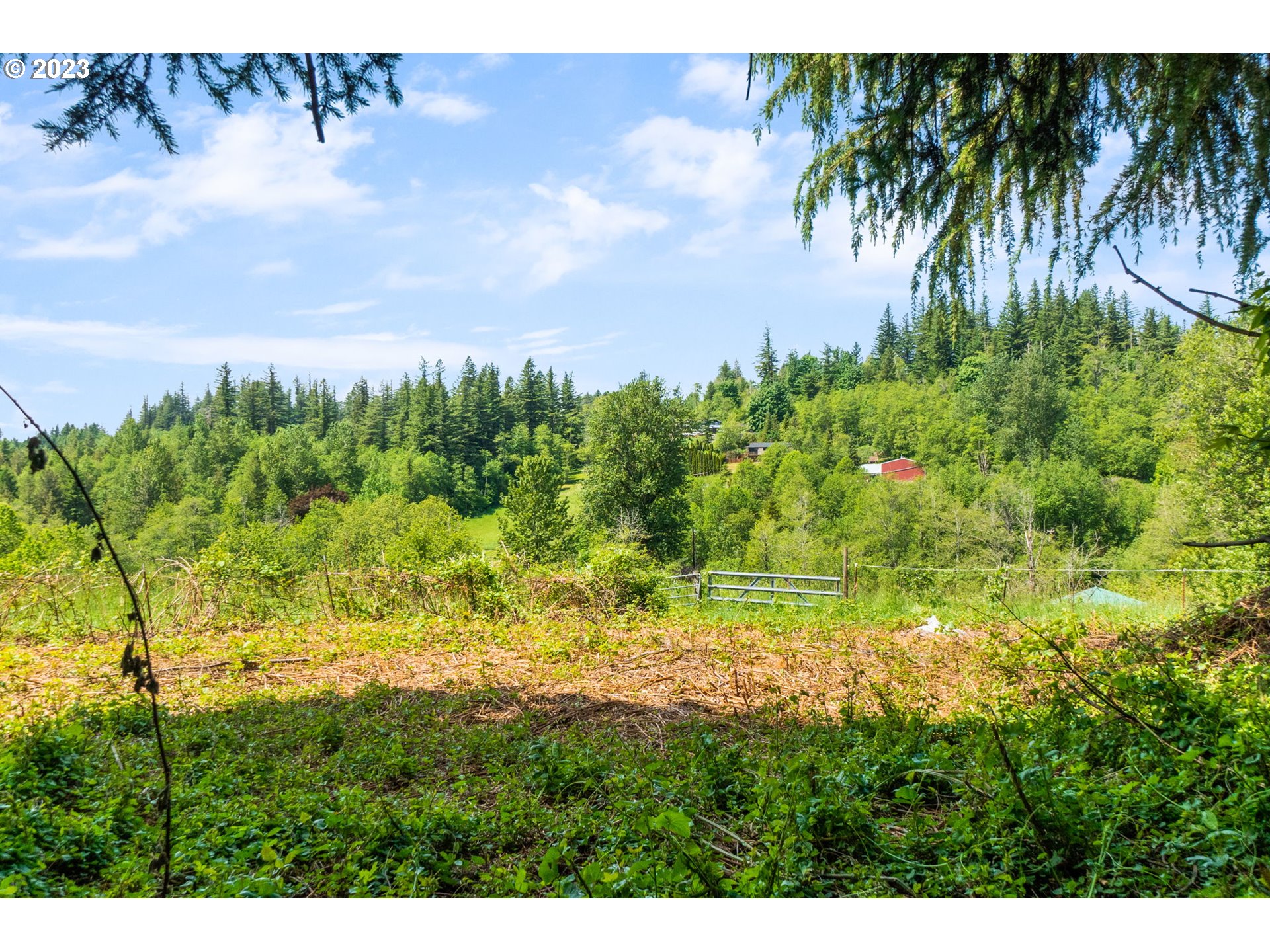 745 Southeast Littlepage Road Corbett, OR 97019 - Photo 25 of 39 a view of a garden