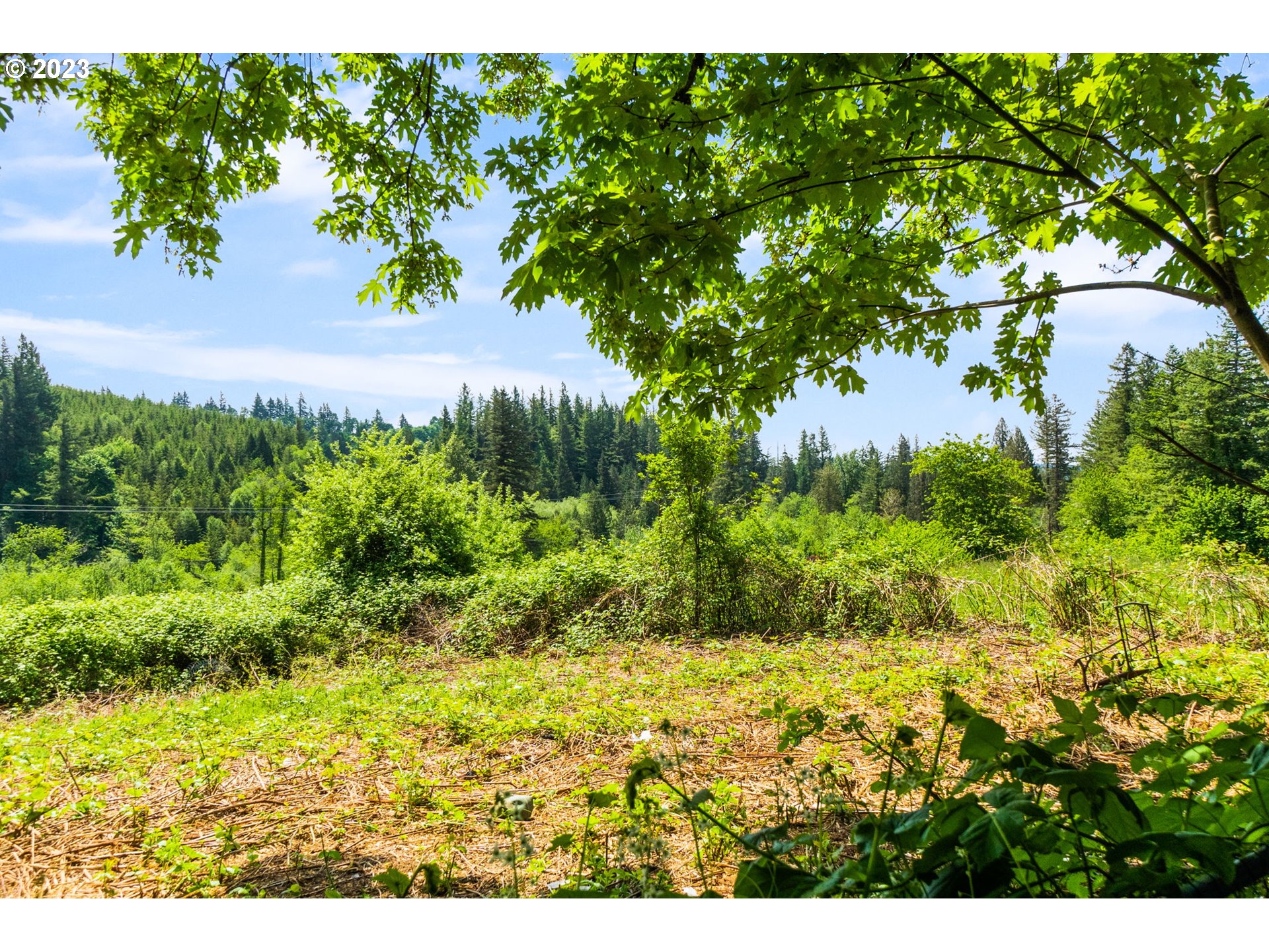 745 Southeast Littlepage Road Corbett, OR 97019 - Photo 26 of 39 a view of outdoor space with garden