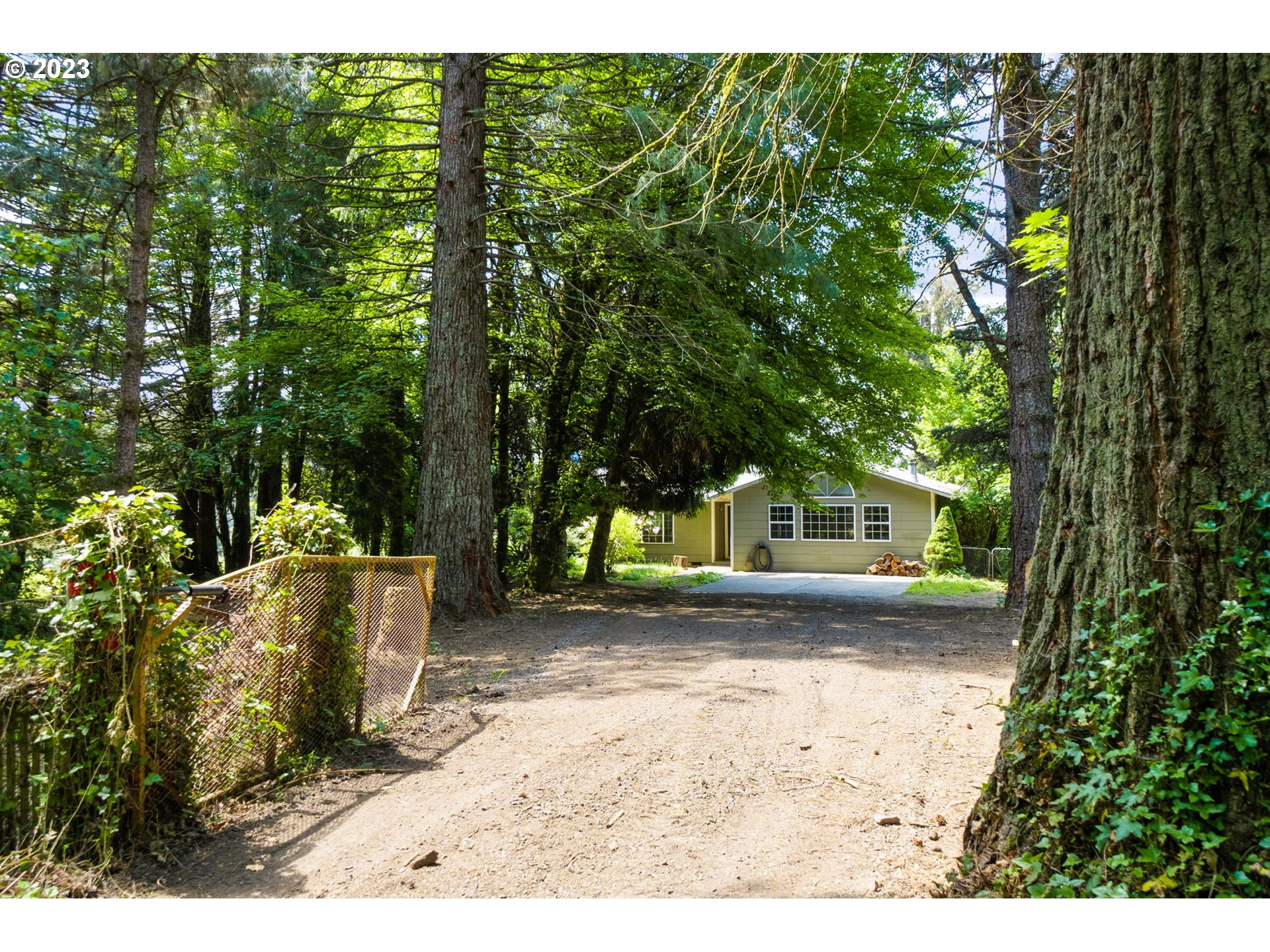 745 Southeast Littlepage Road Corbett, OR 97019 - Photo 32 of 39 a view of a yard with plants and trees