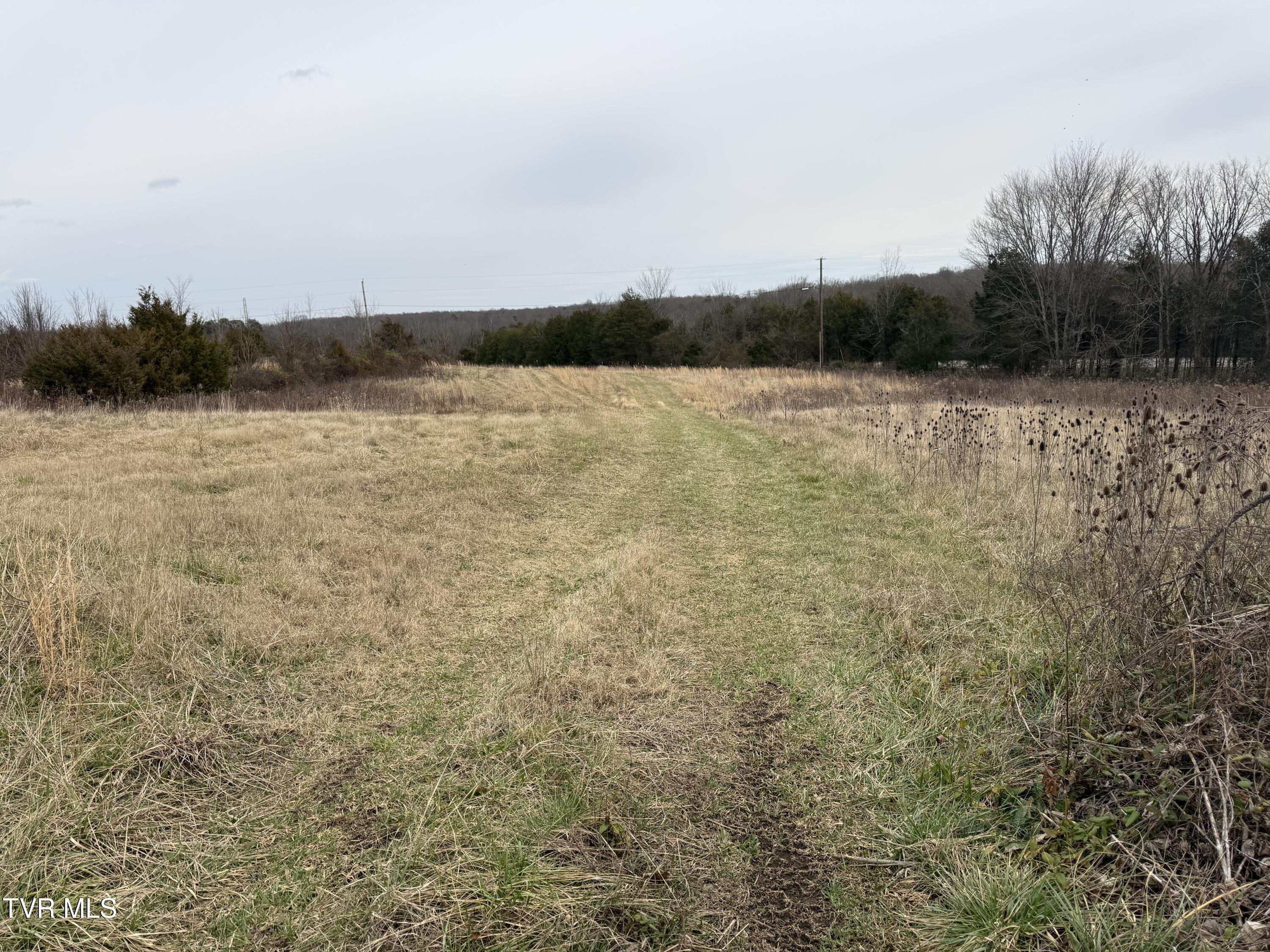 Tbd Tbd Bernard Road, Unit 16 Greeneville, TN 37745 - Photo 2 of 5 IMG_0935