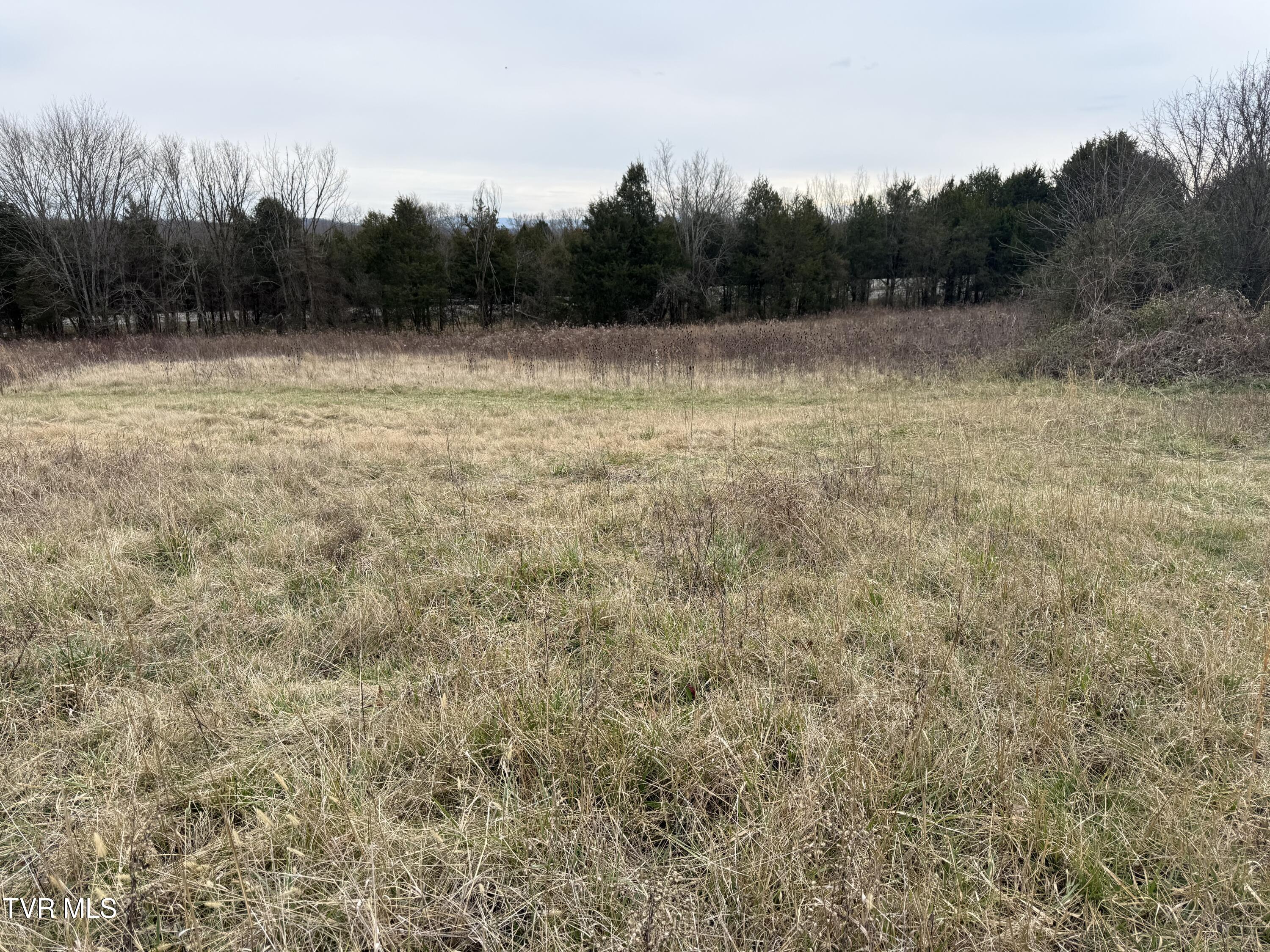 Tbd Tbd Bernard Road, Unit 16 Greeneville, TN 37745 - Photo 3 of 5 IMG_0936