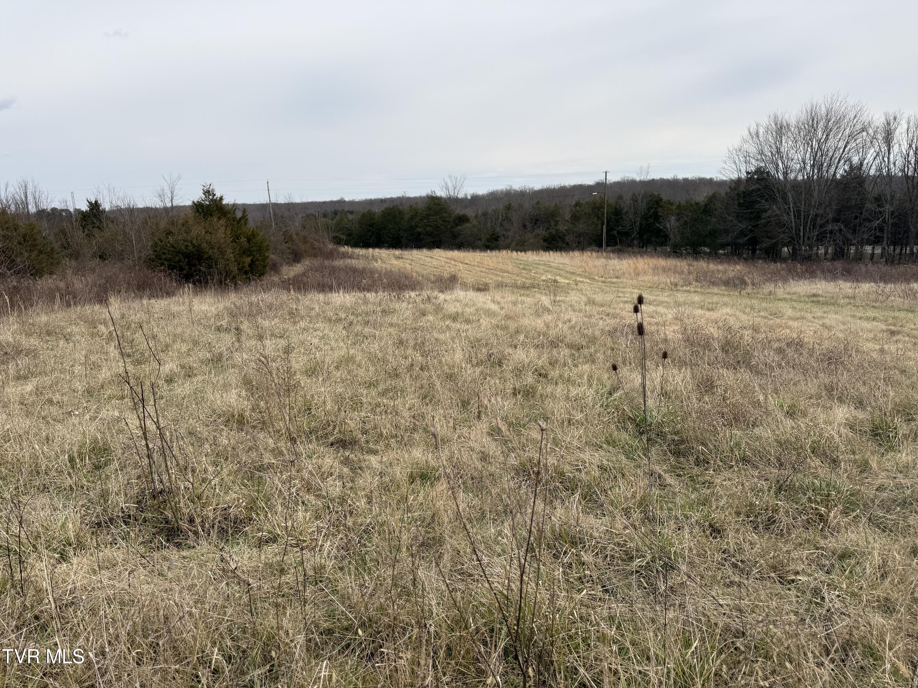 Tbd Tbd Bernard Road, Unit 16 Greeneville, TN 37745 - Photo 4 of 5 IMG_0937