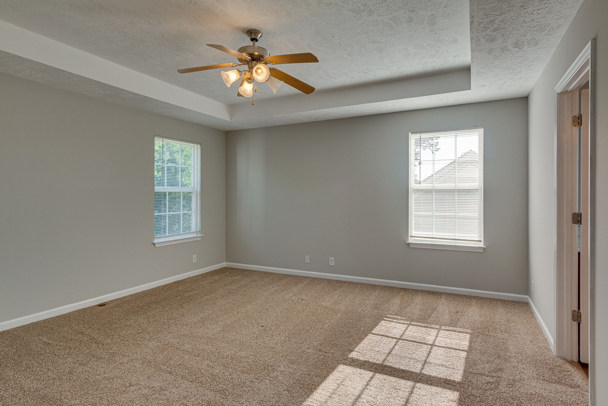 611 Buck Cherry Way Murfreesboro, TN 37128 - Photo 22 of 36 an empty room with windows and chandelier fan