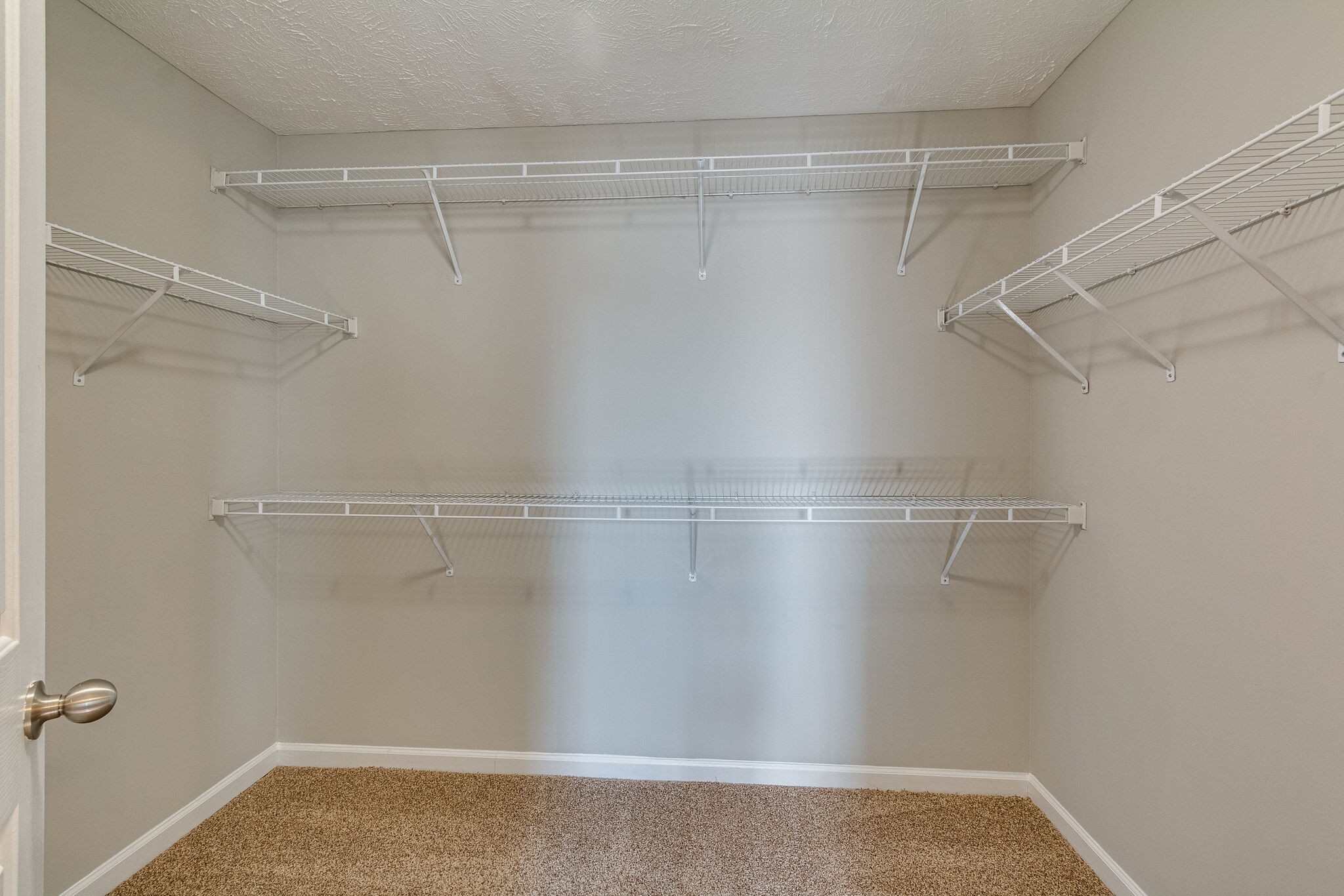 611 Buck Cherry Way Murfreesboro, TN 37128 - Photo 27 of 36 a view of a room with racks on the wall