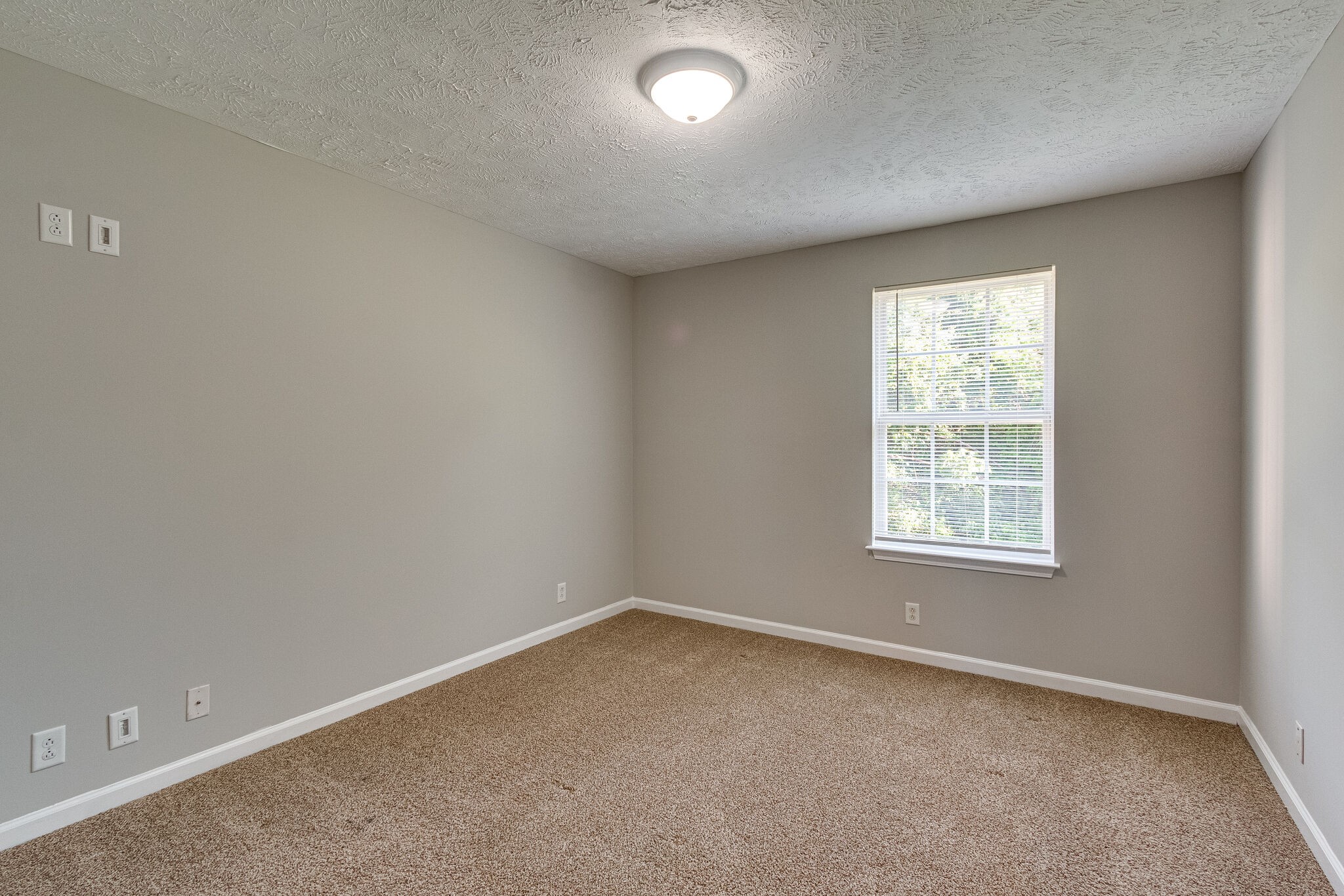 611 Buck Cherry Way Murfreesboro, TN 37128 - Photo 32 of 36 an empty room with a window