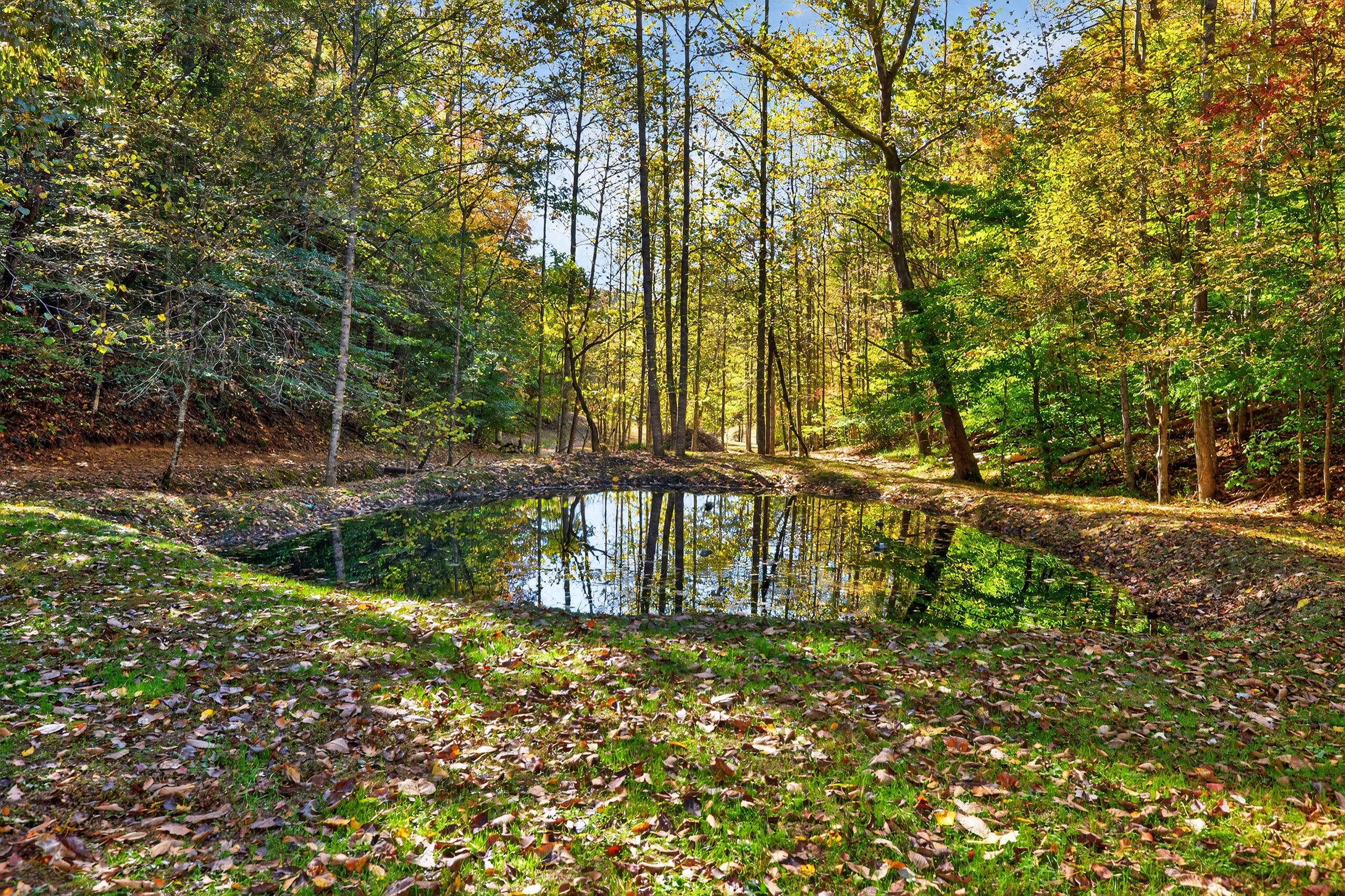569 Bethany Road Campton, KY 41301 - Photo 37 of 45 136