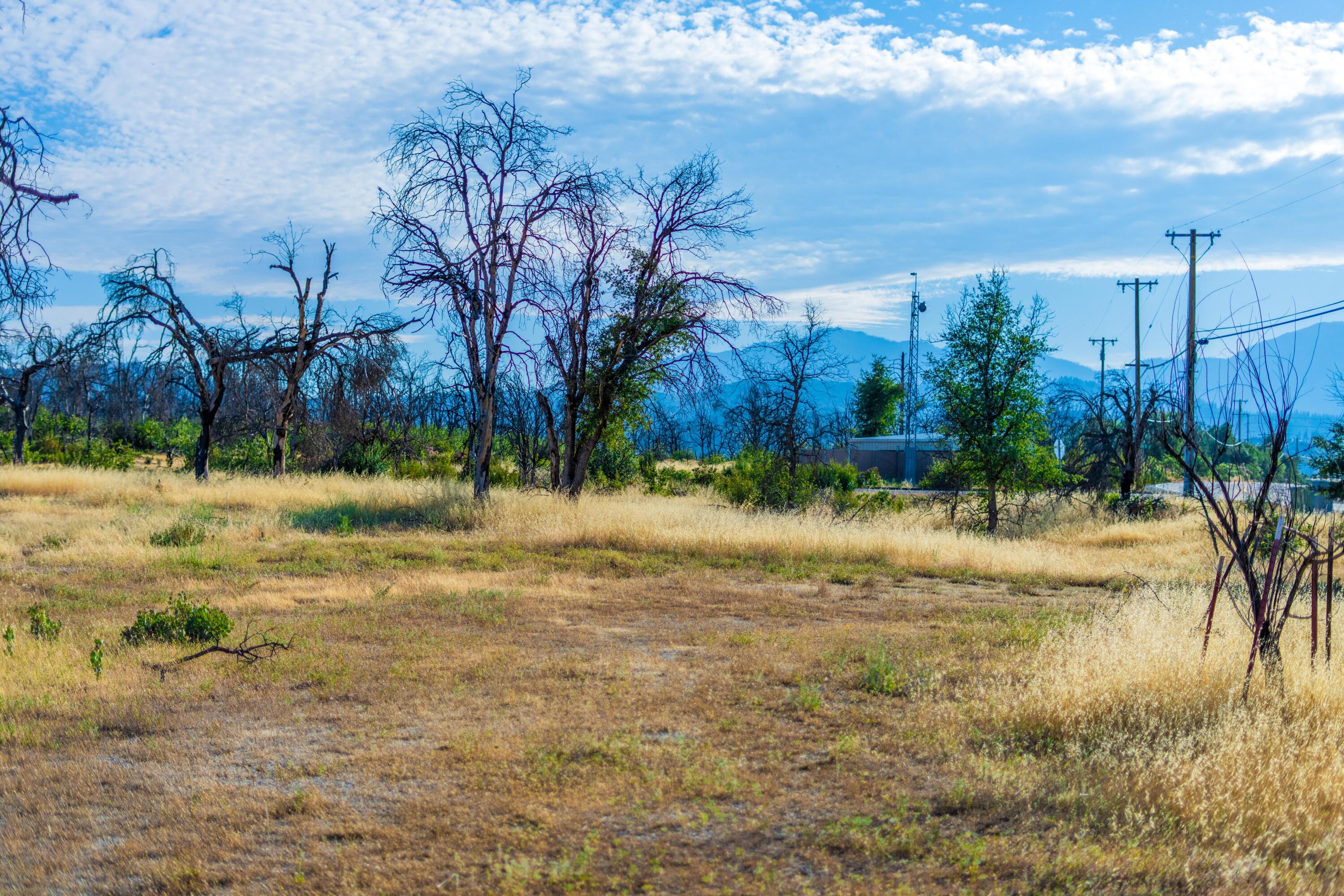 17007 Keswick Dam Road Redding, CA 96003 - Photo 19 of 20 a view of a yard with a house