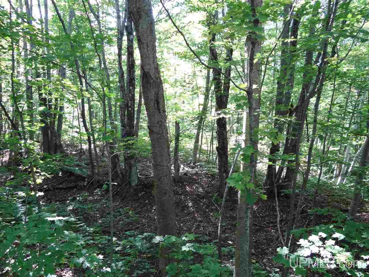 Tbd Cemetery Road Atlantic Mine, MI 49963 - Photo 17 of 27