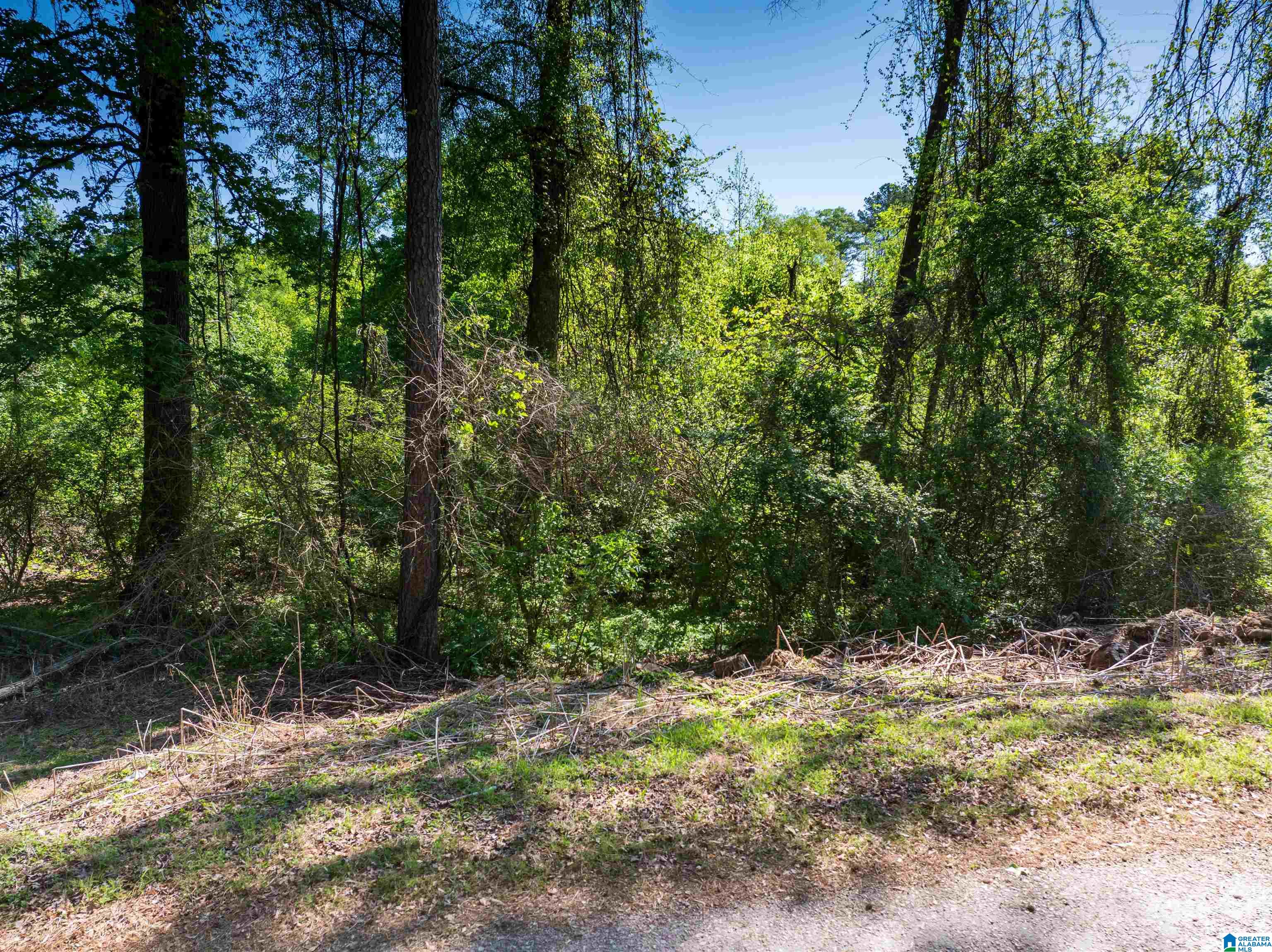 Off Of Joe Brackett Road, Unit X Jasper, AL 35504 - Photo 7 of 26