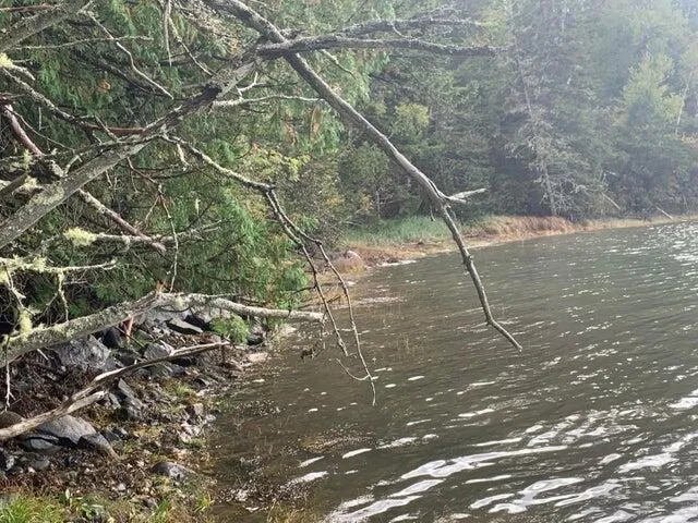 $450,000 | 0 Tideway Lane, Lubec, ME 04652