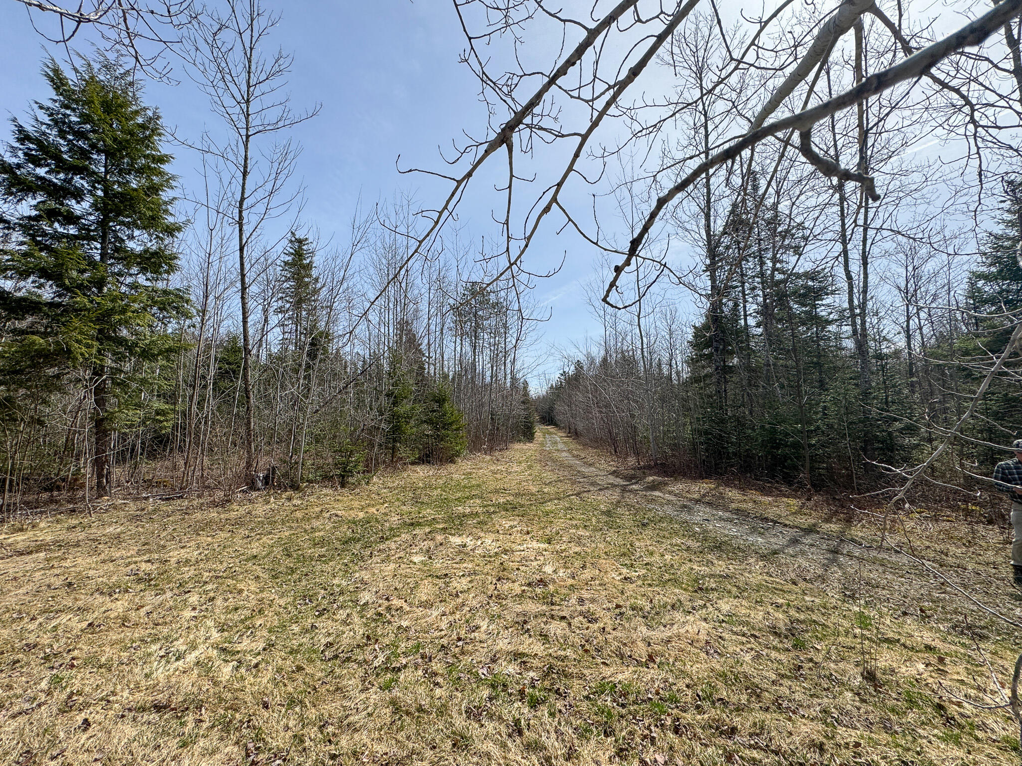 242 Bottle Lake Road Springfield, ME 04487 - Photo 34 of 47 39