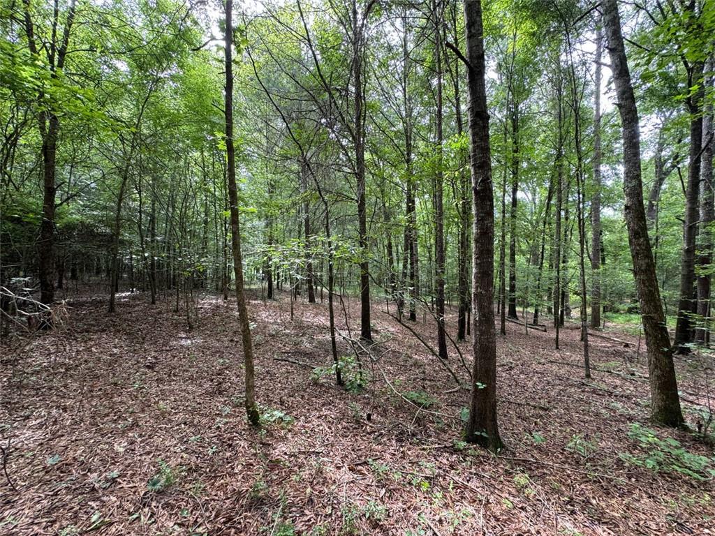 0 Saffold Road Buckhead, GA 30625 - Photo 2 of 6 a view of a forest with trees in the background