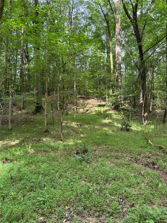 0 Saffold Road Buckhead, GA 30625 - Photo 3 of 6 a backyard of a house with lots of green space and chair