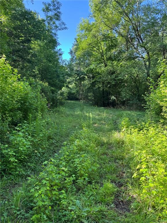 0 Saffold Road Buckhead, GA 30625 - Photo 4 of 6 a view of a lush green space