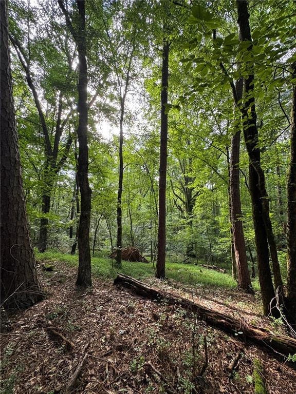 0 Saffold Road Buckhead, GA 30625 - Photo 5 of 6 a view of a forest with trees