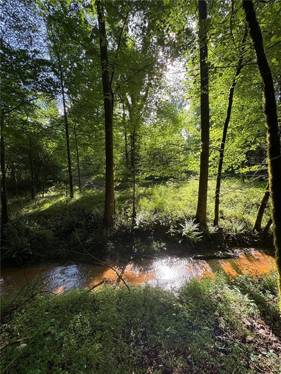 0 Saffold Road Buckhead, GA 30625 - Photo 6 of 6 a view of outdoor space and yard