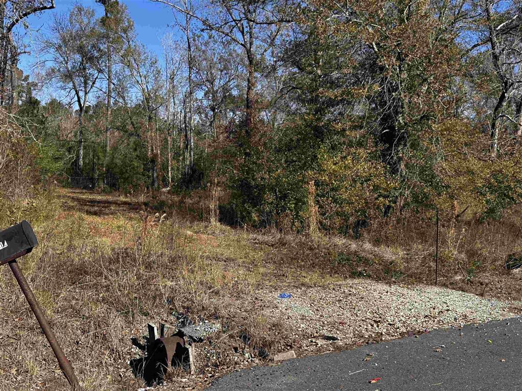 112 Angus Drive Ragley, LA 70657 - Photo 7 of 11