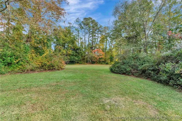a view of a yard with a tree
