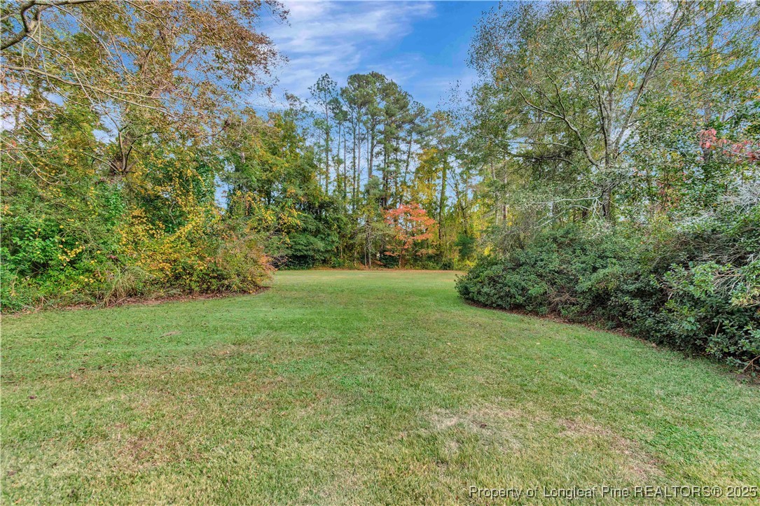 704 B T Road Lumberton, NC 28358 - Photo 41 of 45 a view of a yard with a tree