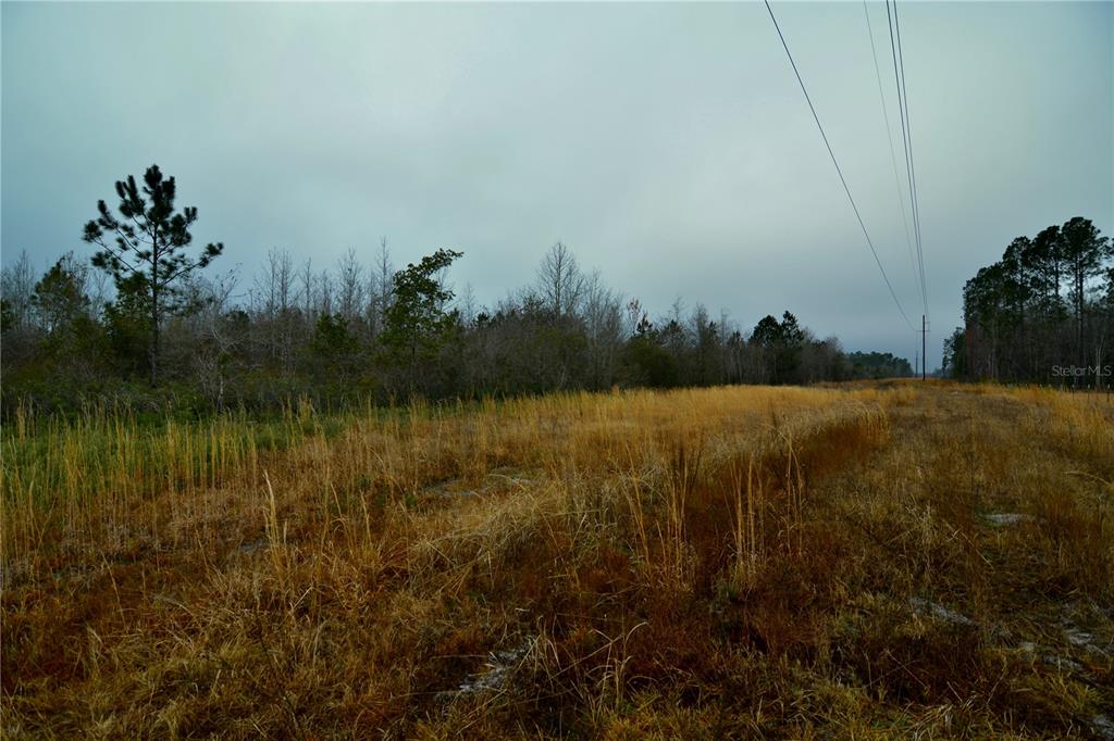 0 West Market Road Starke, FL 32091 - Photo 11 of 36