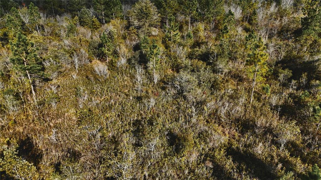 0 West Market Road Starke, FL 32091 - Photo 13 of 36 a view of a yard