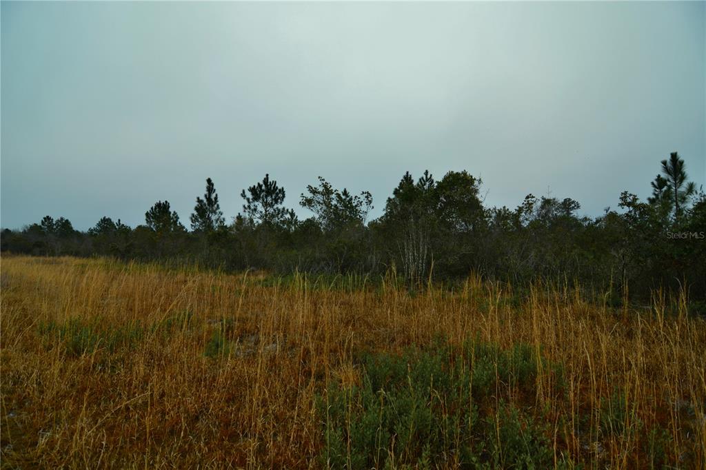0 West Market Road Starke, FL 32091 - Photo 19 of 36 a view of lake