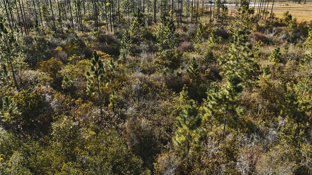 0 West Market Road Starke, FL 32091 - Photo 20 of 36 a view of a yard of a building