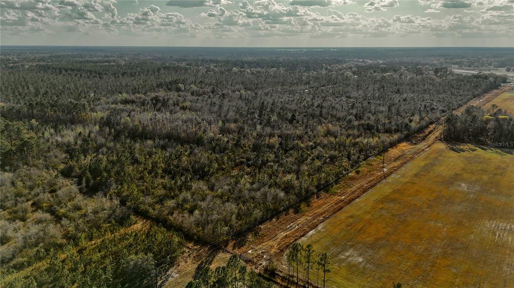0 West Market Road Starke, FL 32091 - Photo 25 of 36 a view of an ocean