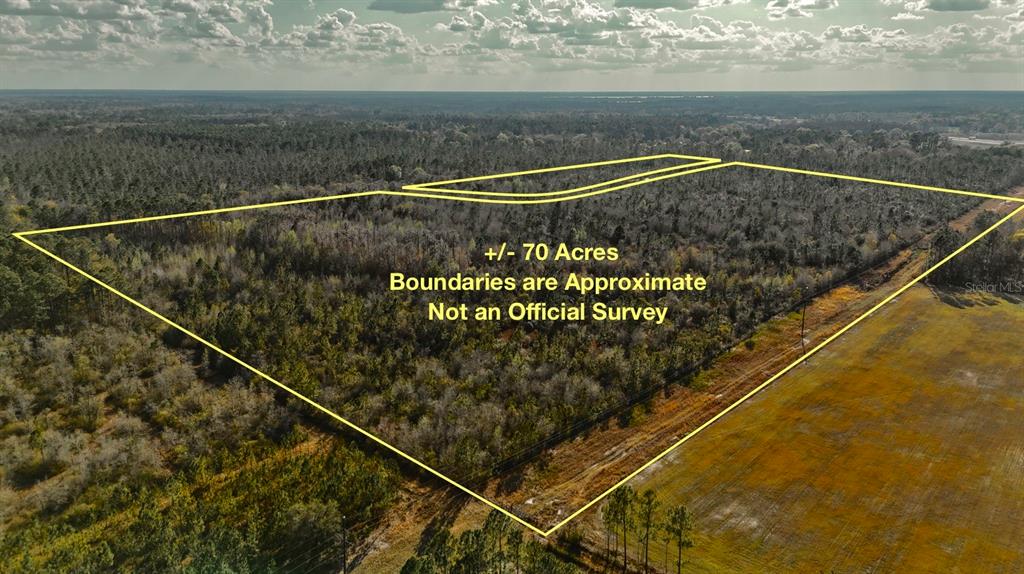 0 West Market Road Starke, FL 32091 - Photo 4 of 36 a view of a tennis court