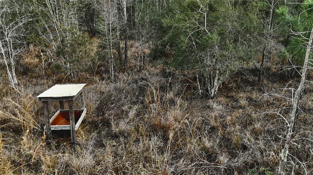 0 West Market Road Starke, FL 32091 - Photo 7 of 36 a backyard of a house with table and chairs