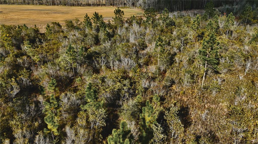 0 West Market Road Starke, FL 32091 - Photo 8 of 36 a view of a lake view