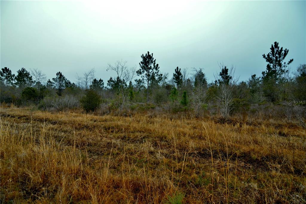 0 West Market Road Starke, FL 32091 - Photo 9 of 36 a view of a lake with houses