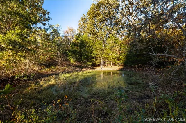 $649,750 | 432 Pardon Road, Marionville, MO 65705