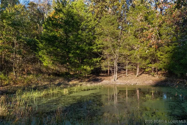 $649,750 | 432 Pardon Road, Marionville, MO 65705