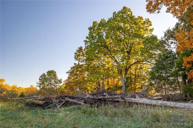 $649,750 | 432 Pardon Road, Marionville, MO 65705