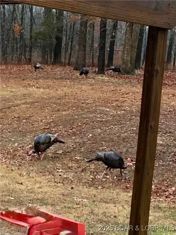 $649,750 | 432 Pardon Road, Marionville, MO 65705