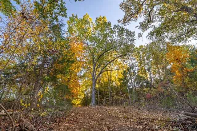 $649,750 | 432 Pardon Road, Marionville, MO 65705