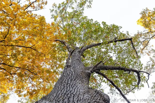 $649,750 | 432 Pardon Road, Marionville, MO 65705