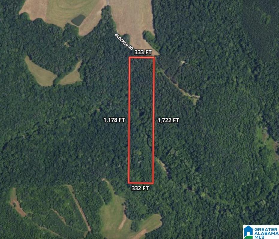 0 Blocker Road Eva, AL 35621 - Photo 2 of 6