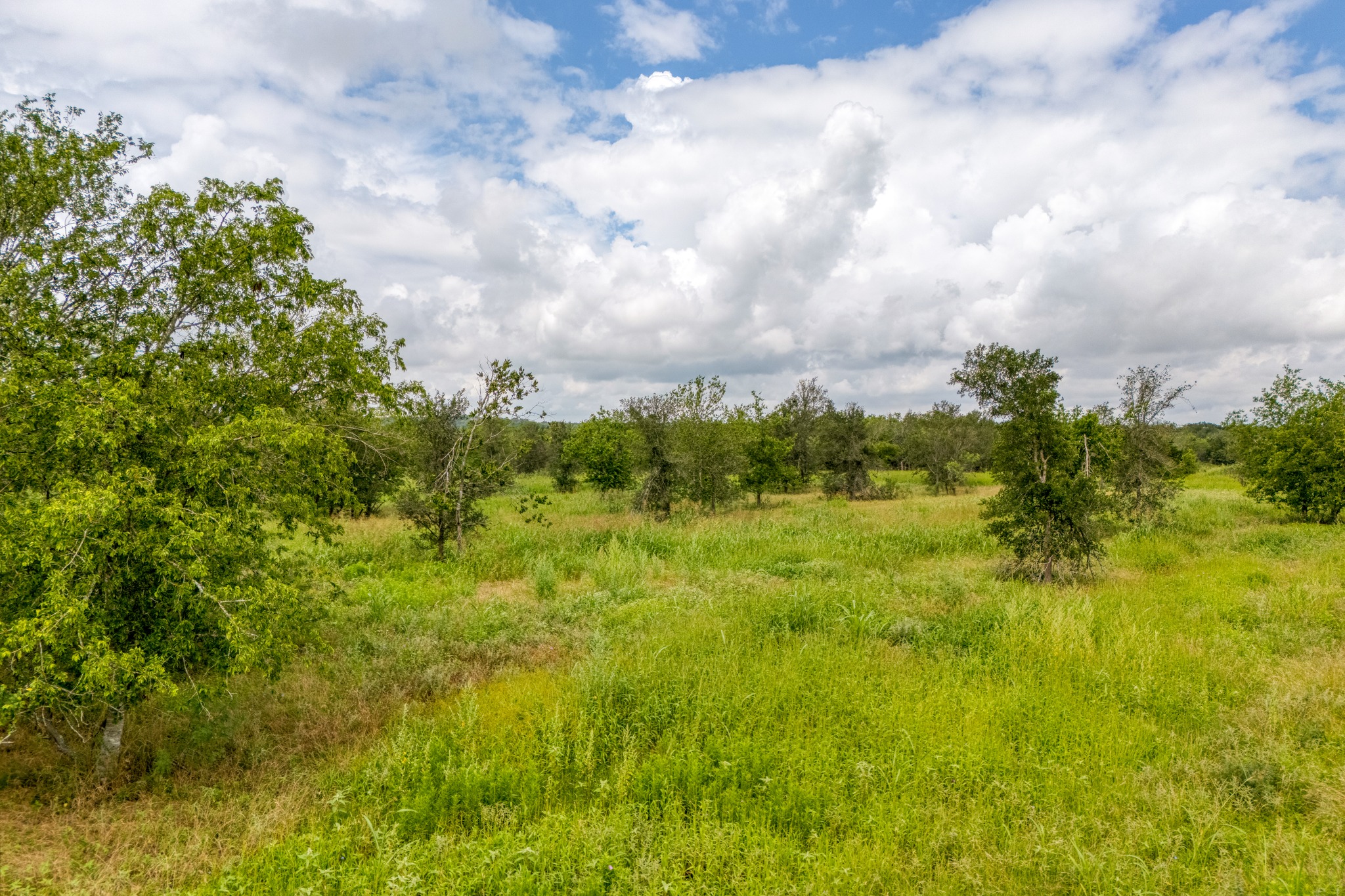 18101 Littig Road Manor, TX 78653 - Photo 14 of 35 Gallery Image 14