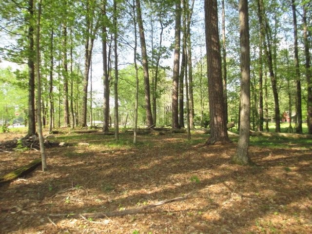 627 Kinser Road Cleveland, TN 37323 - Photo 13 of 27