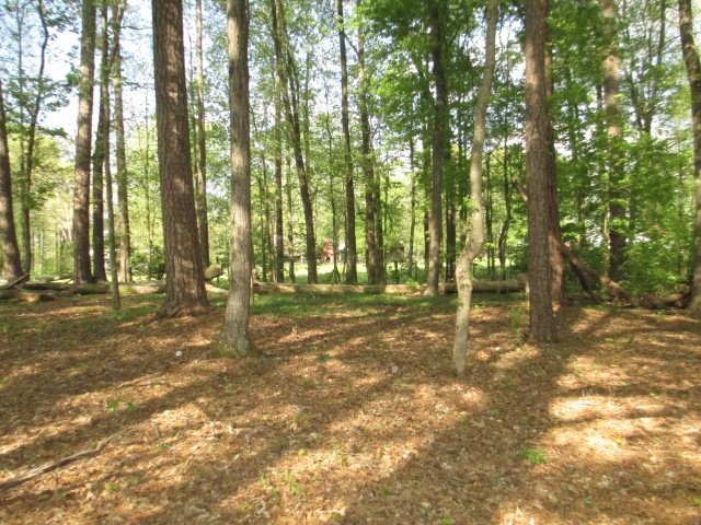 627 Kinser Road Cleveland, TN 37323 - Photo 14 of 27