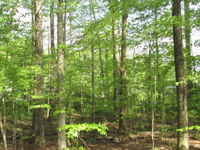 627 Kinser Road Cleveland, TN 37323 - Photo 8 of 27