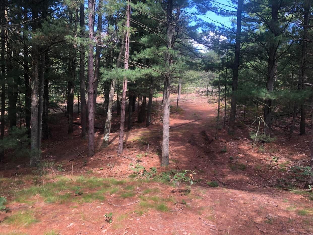 0 Crystal Lake Road, Unit 4 05 ACRES Whitehall, MI 49461 - Photo 1 of 2 301393434_1207788586434453_3539558435191