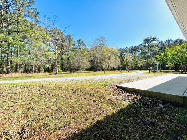 127 Rojay Lane Richlands, NC 28574 - Photo 79 of 100 IMG_8166